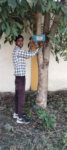 आज नियमित गतिविधियों के अंतर्गत एनएसएस वालंटियर्स द्वारा महाविद्यालय परिसर में सघन स्वच्छता कार्यक्रम का आयोजन किया गया एवं शत प्रतिशत  प्लास्टिक कचरा